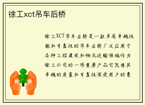 徐工xct吊车后桥